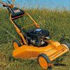 as53 2t 4wd rb 2