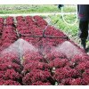 Nosník trysek SOLO plast 60 cm se dvěma tryskami [49514]