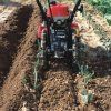 rotavator honda ff 300 %5B4%5D