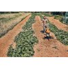 Rotační kypřič STIHL MH 600