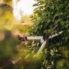 Nůžky na živý plot FISKARS PowerLever HS53 s pákovým převodem, bílé [1026931]