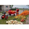 vari global iv anv 380 motor vari xp 200 %5B11%5D
